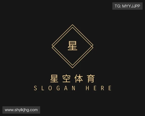 关于星空游戏官方网站